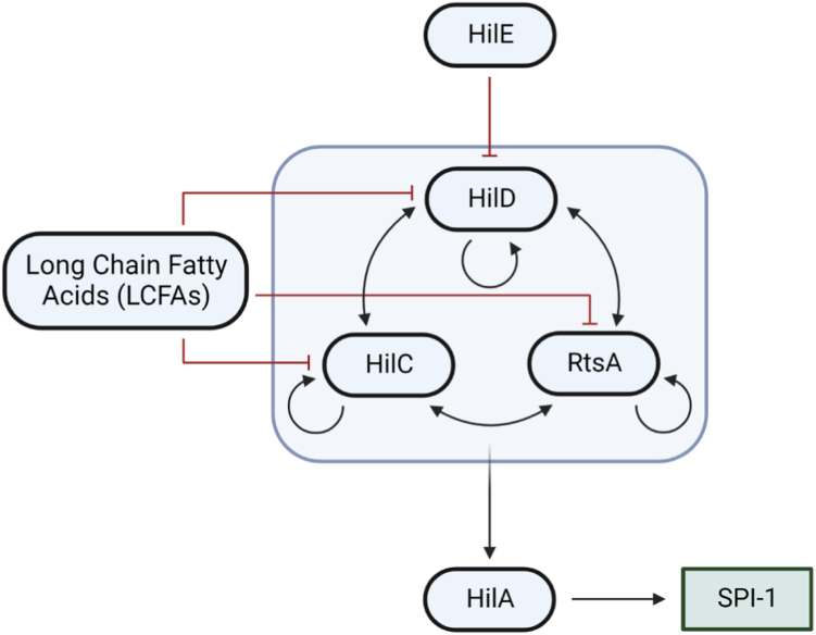 Figure 1