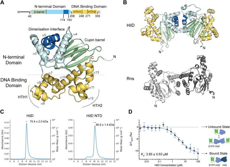 Figure 2