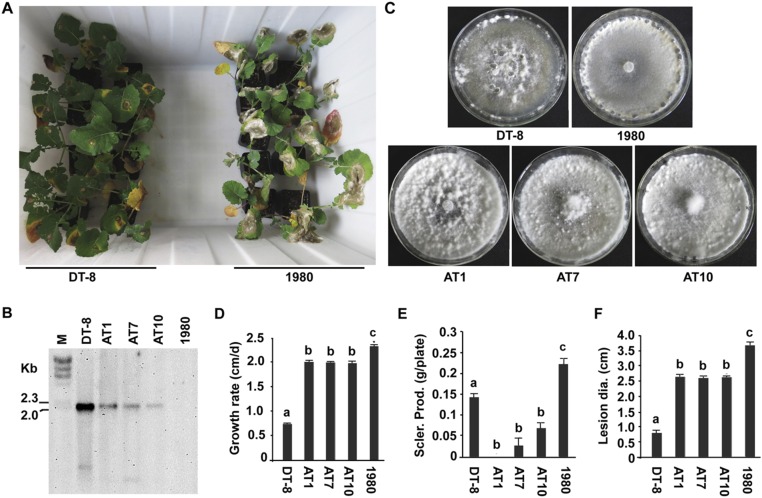 Fig. S6.