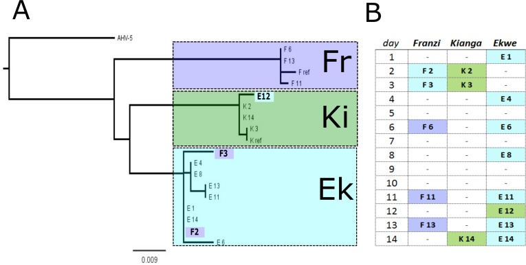 Figure 5