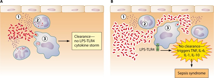 FIG 1