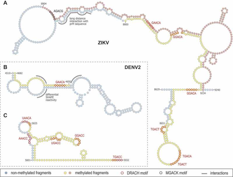 Figure 3.