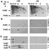 Fig 3.