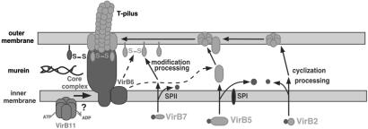 Fig 6.