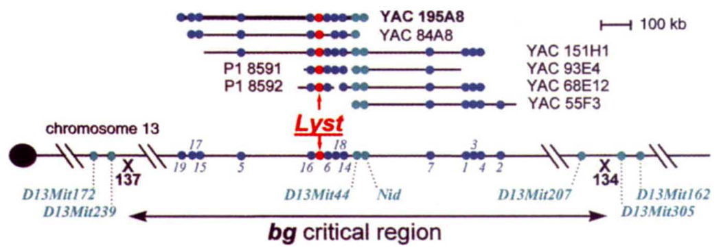 FIG. 1