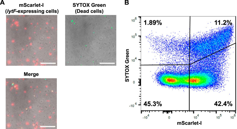 FIG 3