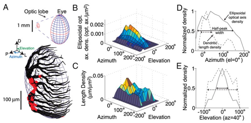 FIG. 4