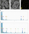 FIG 6