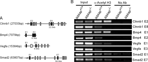 FIG. 7.