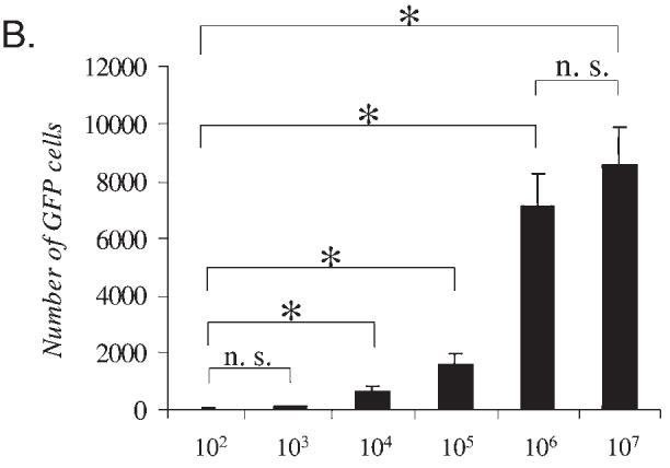 FIG. 1