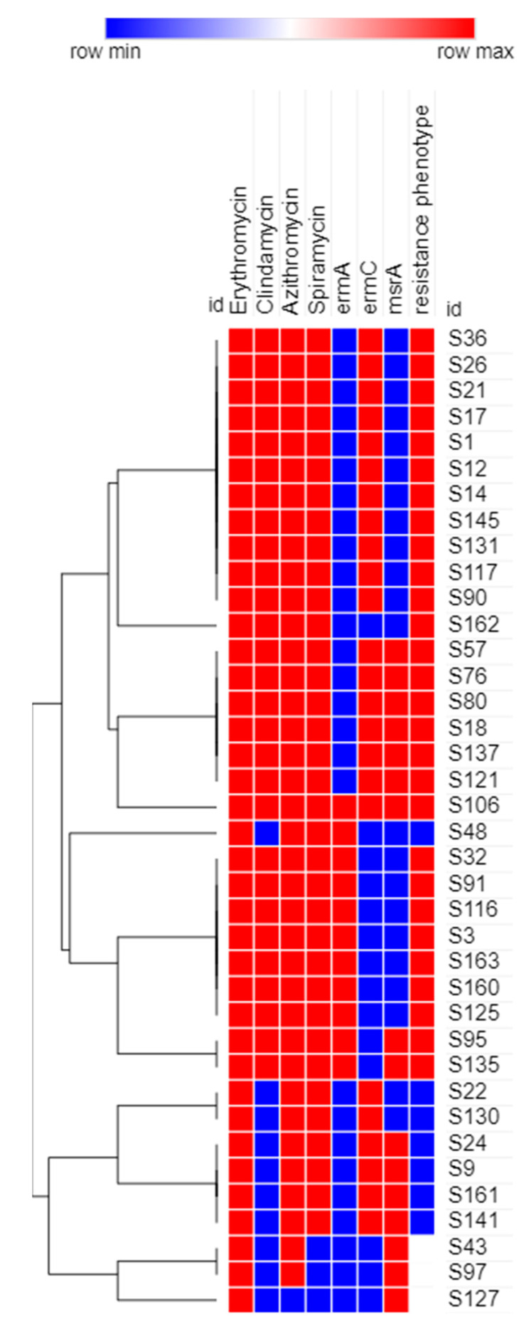 Figure 5