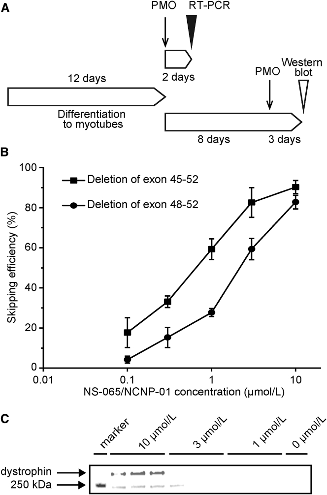 Figure 2