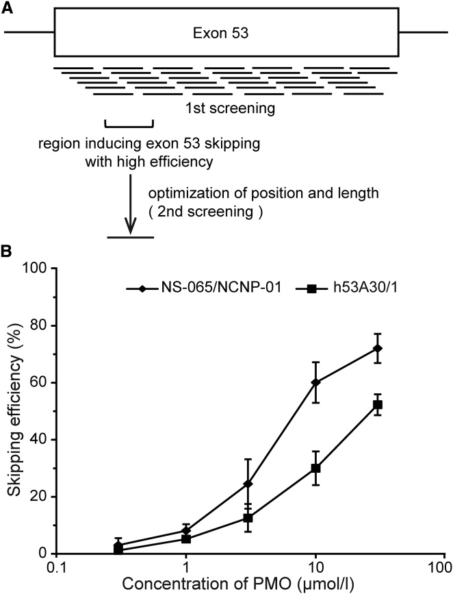 Figure 1