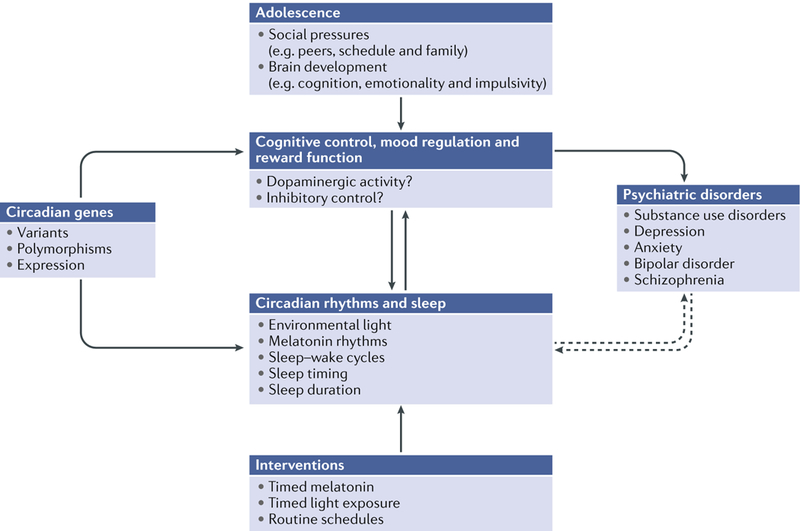 Fig. 4 |