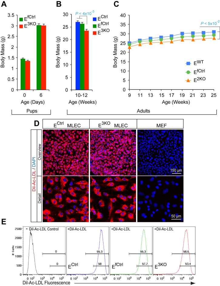 Figure 1—figure supplement 1.