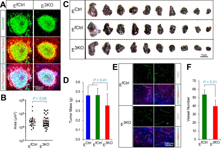 Figure 1—figure supplement 5.