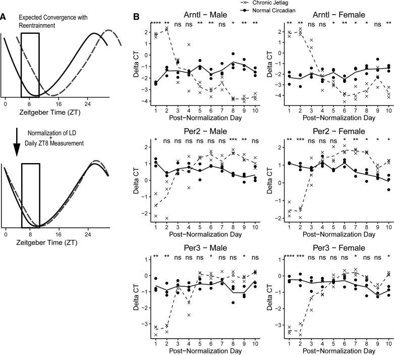 Figure 9.