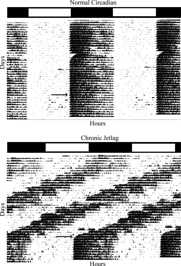 Figure 13.