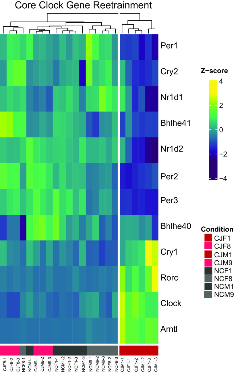 Figure 10.