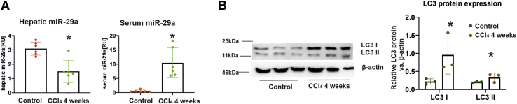 Figure 5