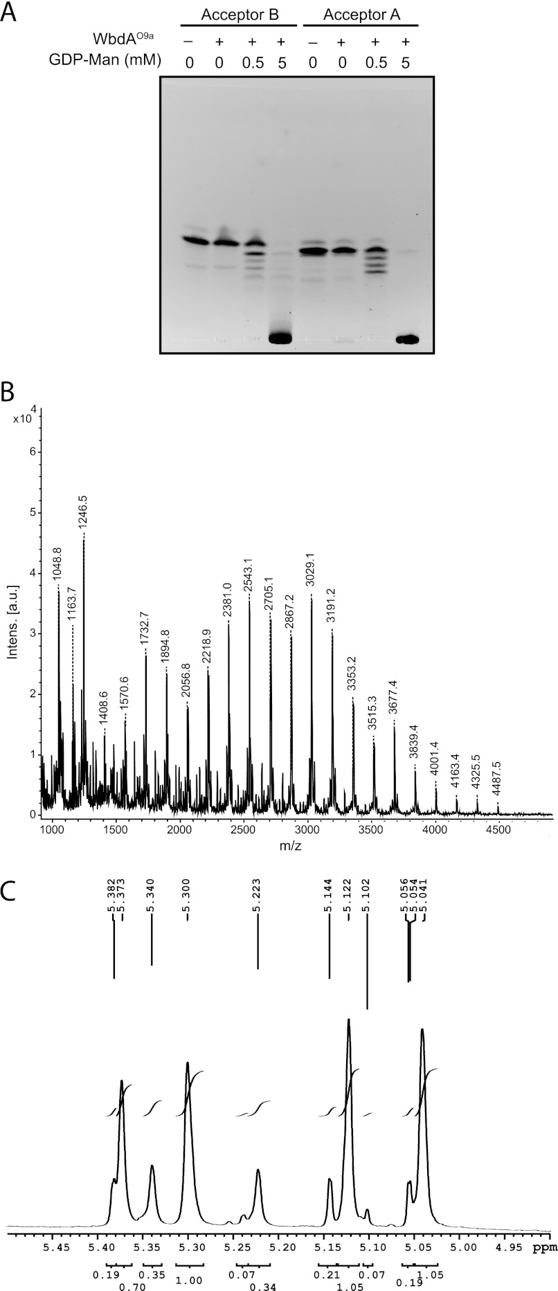 FIGURE 4.