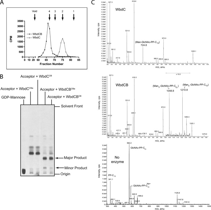 FIGURE 3.