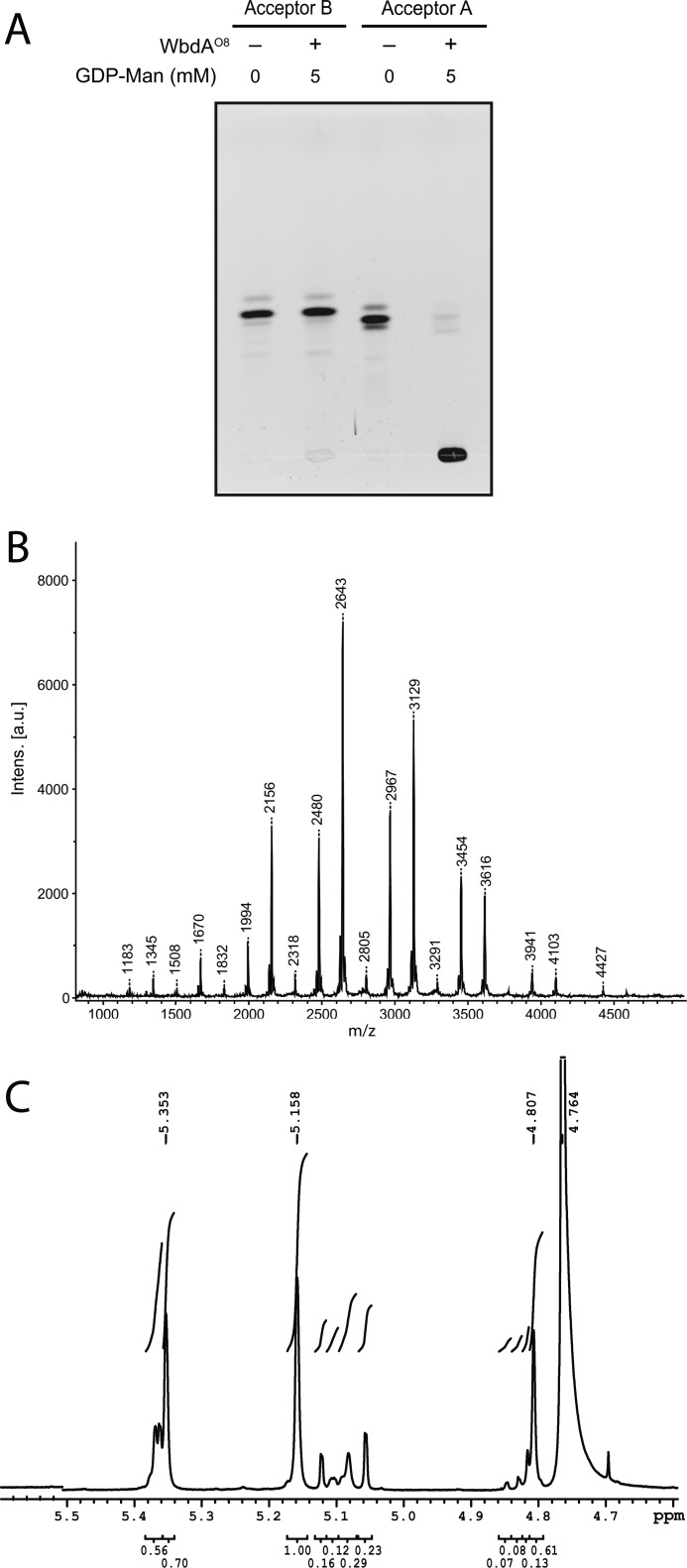 FIGURE 5.