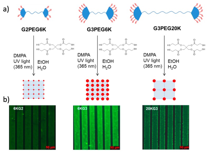 Figure 20