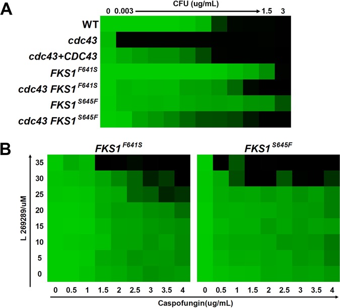FIG 4