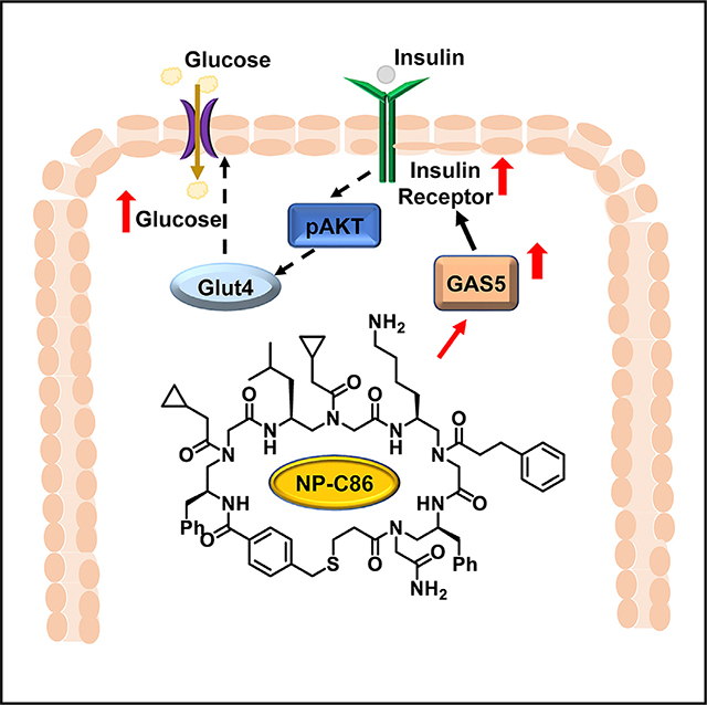 graphic file with name nihms-1926807-f0001.jpg