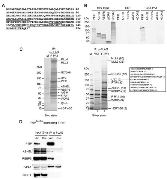 FIGURE 3