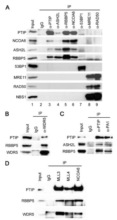 FIGURE 4