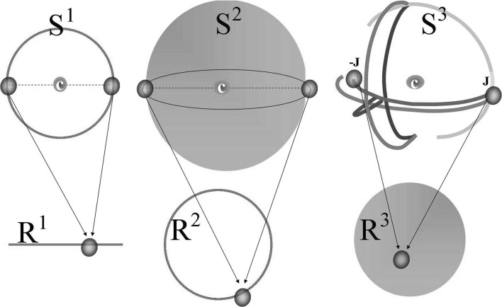 Fig. 2