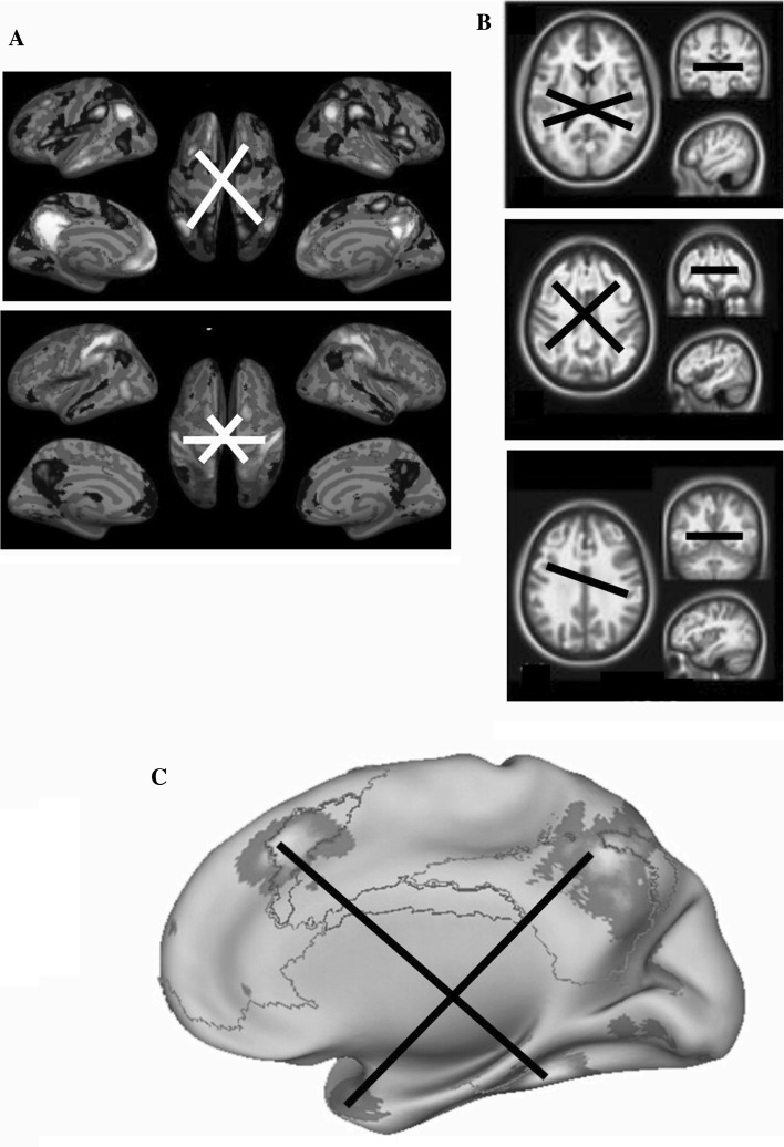 Fig. 5