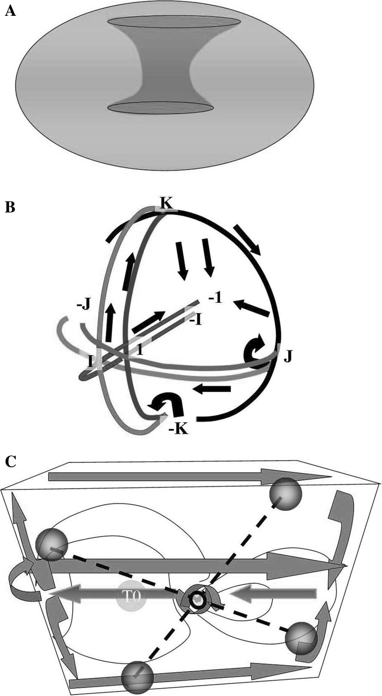 Fig. 1