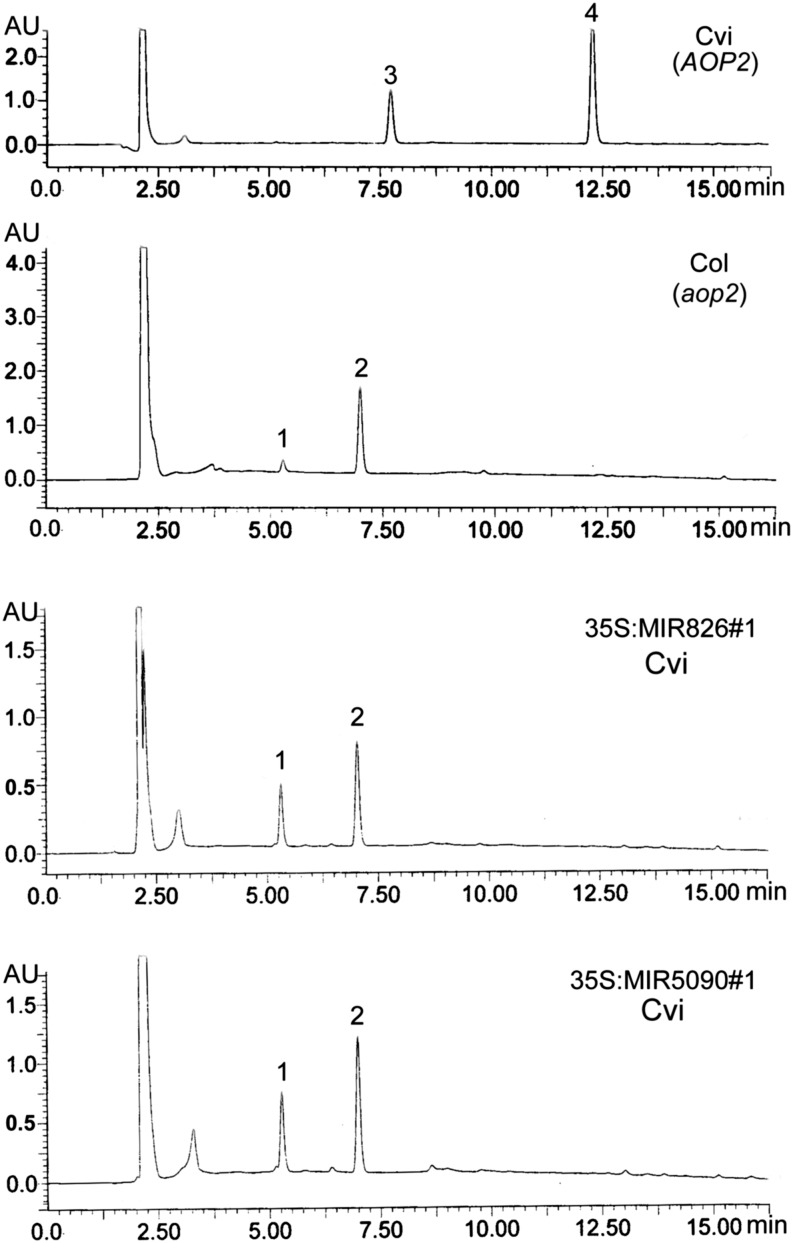 Figure 6.