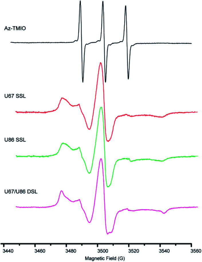 Fig. 3