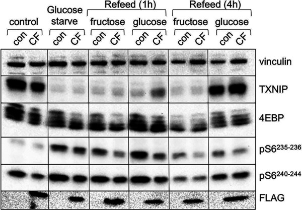 FIG 9