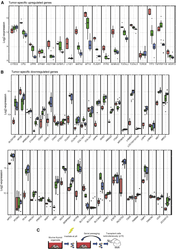 Figure 4