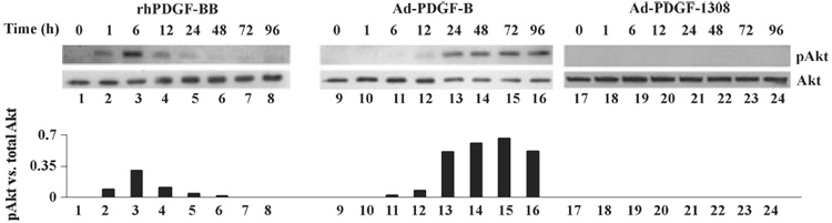 Fig. 5