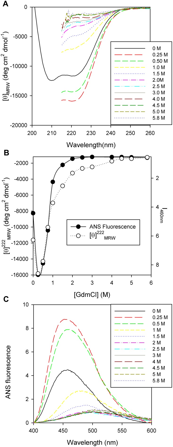 Figure 8