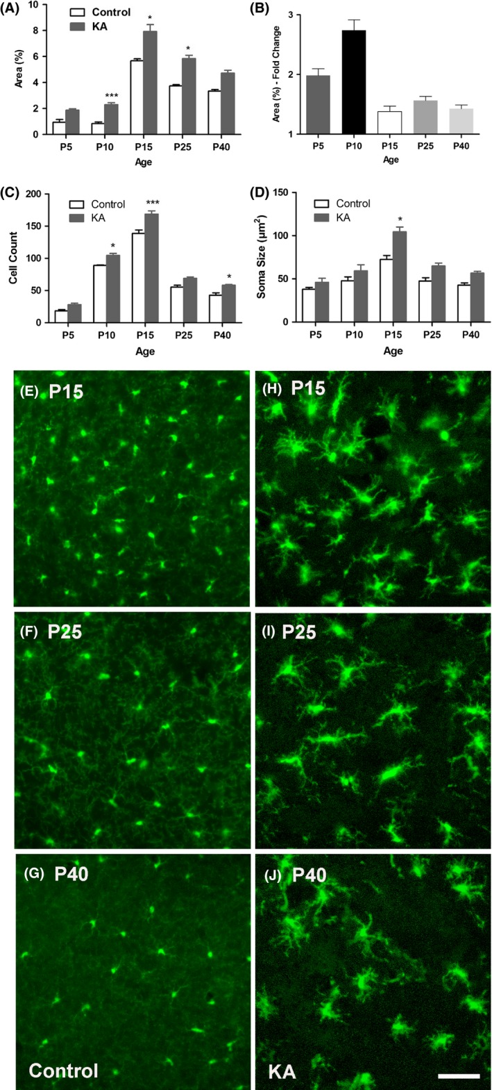 Figure 5