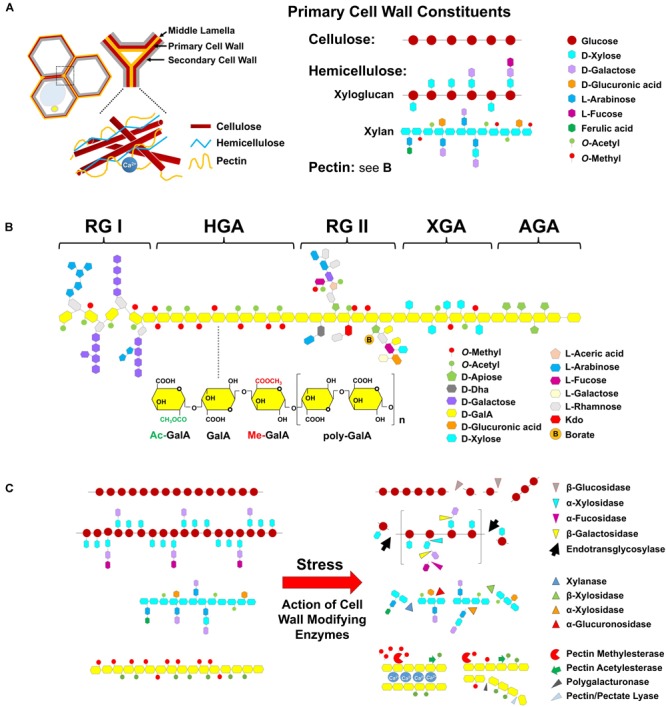 FIGURE 3