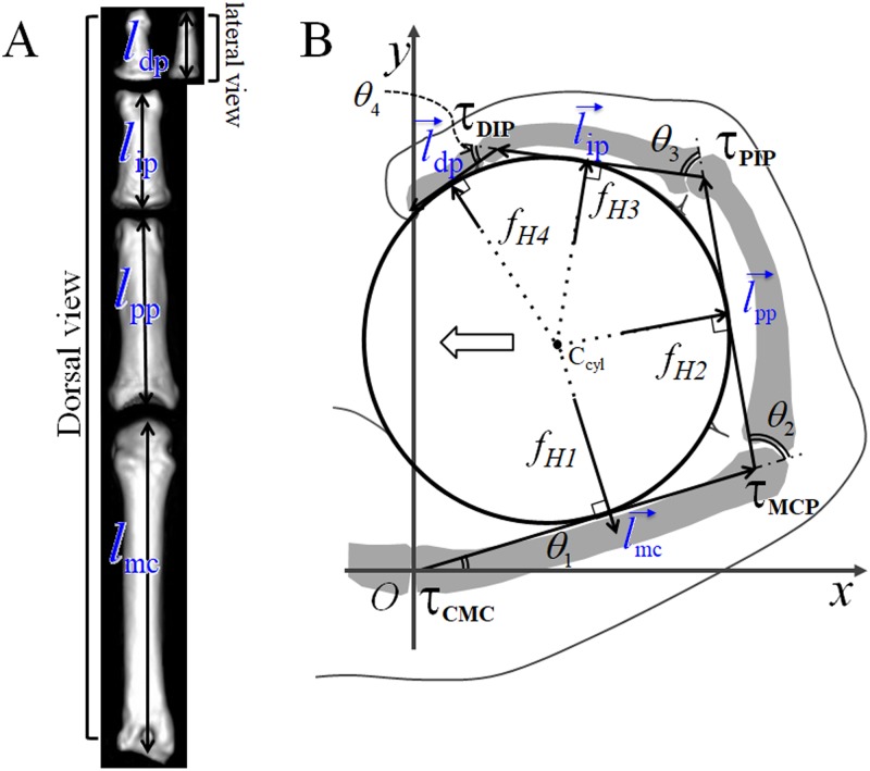 Fig 1