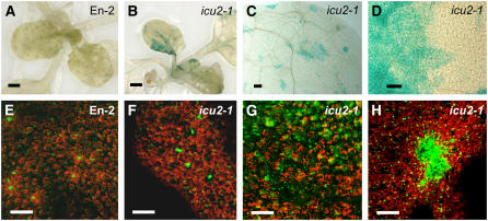 Figure 9.