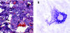 <b>Figure 2</b>