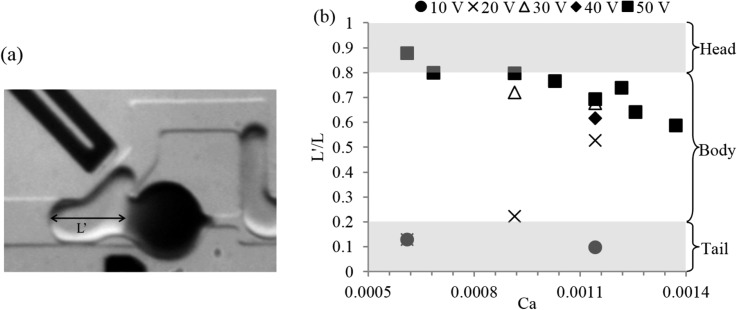 FIG. 8.