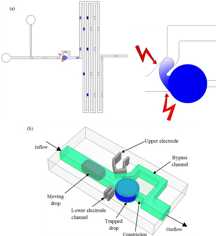 FIG. 1.