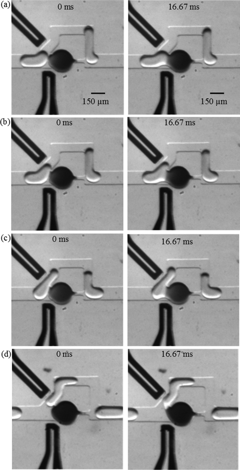 FIG. 6.