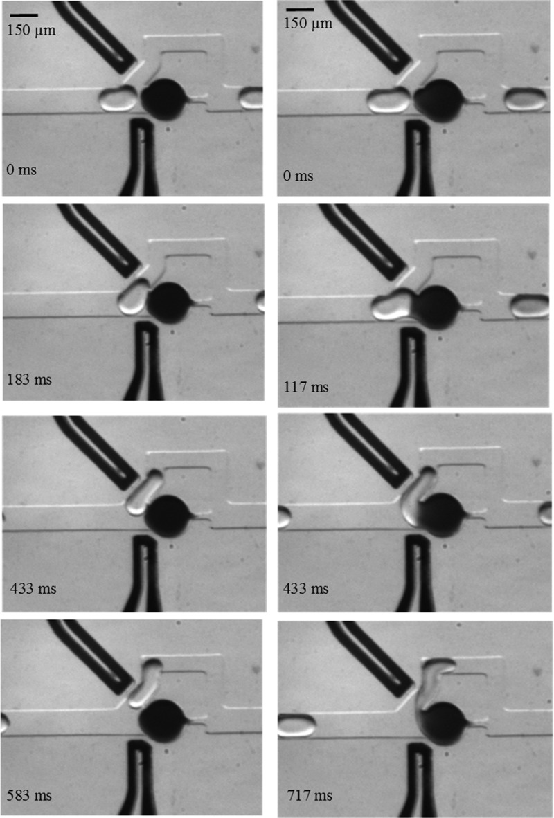 FIG. 2.